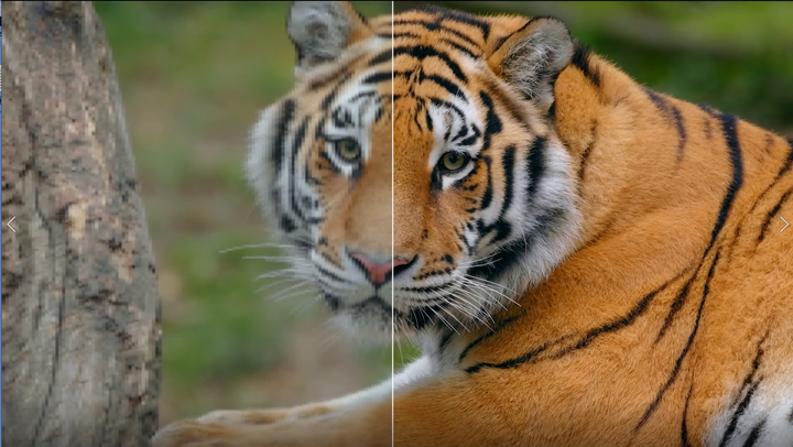 DVD-Film 480p hochskalieren