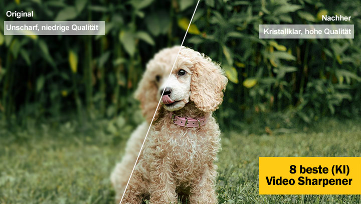 Schärfen Sie Ihre Videos