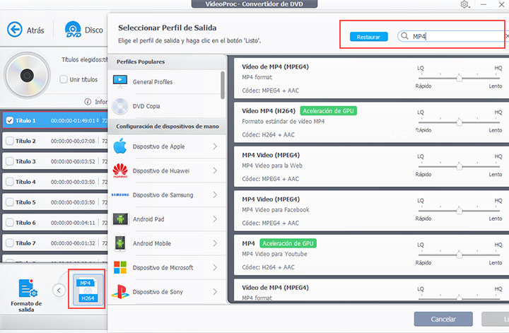 Seleccionar MP4 como formato de salida