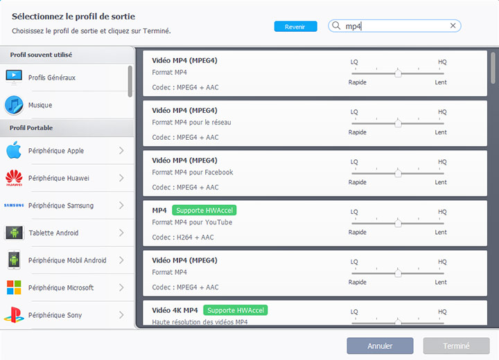 Définissez le format de sortie sur MP4