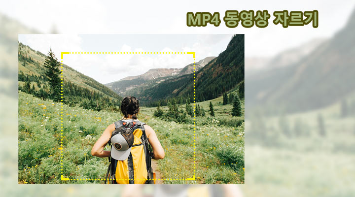 MP4 동영상 자르기