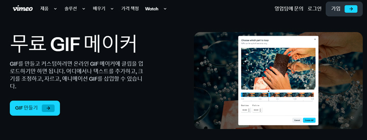 Video to GIF Conversion Sites