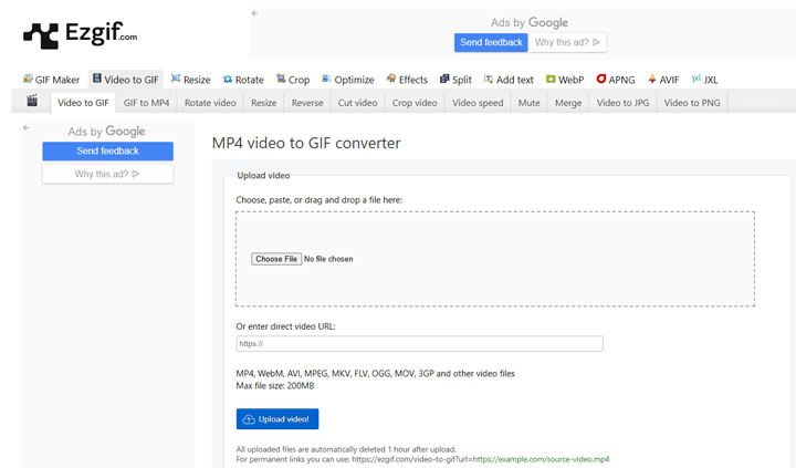 Video to GIF Conversion Sites