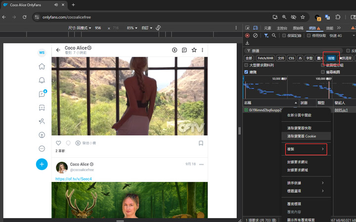 用檢查工具下載 OnlyFans 影片
