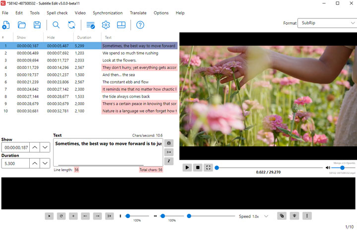 Add MP4 File to NikSe