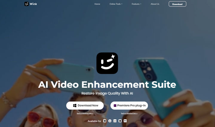 Wink Video Enhancer for Old Video Restoration