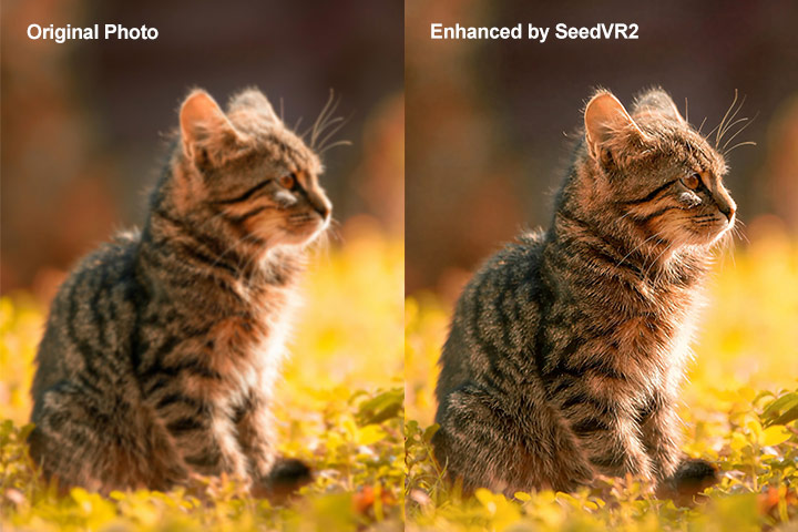 Best AI Photo Enhancer SeedVR2 Test 1