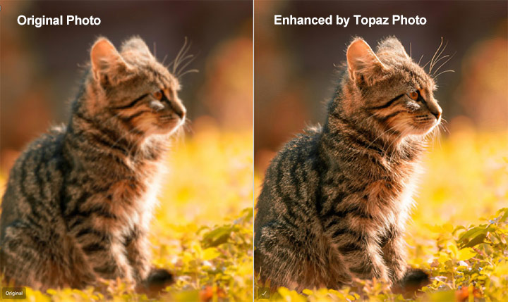 Topaz Test 1