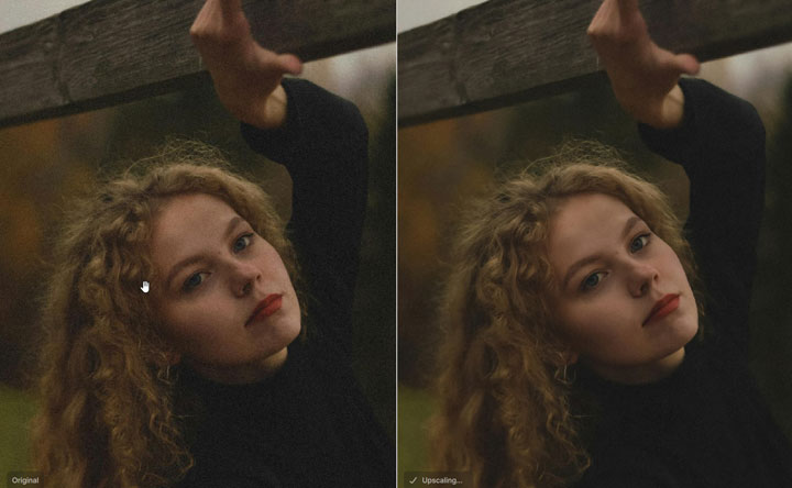 Best AI Photo Enhancer Topaz Test 5