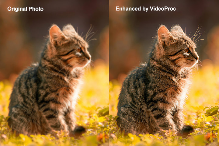Best Photo Enhancer VideoProc Test 1