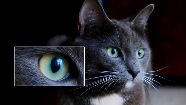 Enhanced Video Frame