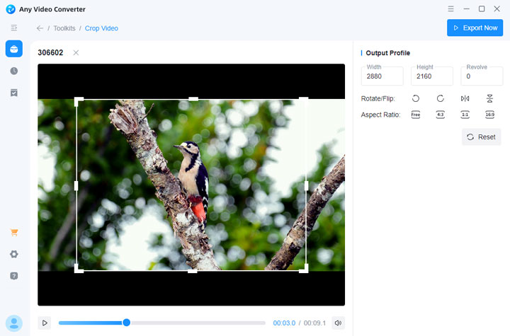 Any Video Converter Free Editing Interface