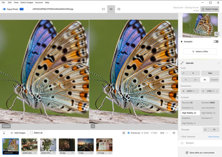 Topaz Photo AI interface