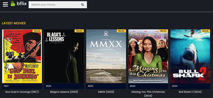 2Flix Alternative - BFLIX