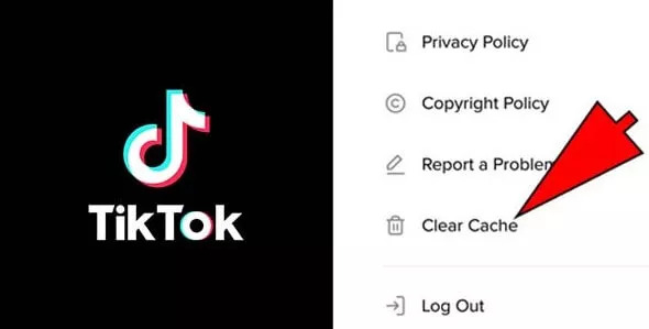 Fix TikTok No Network Connection Error - Clear the Cache