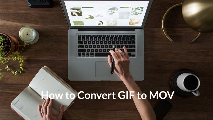 How to Convert GIF to MOV