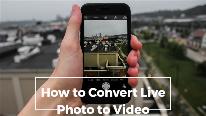 convert live photo to video