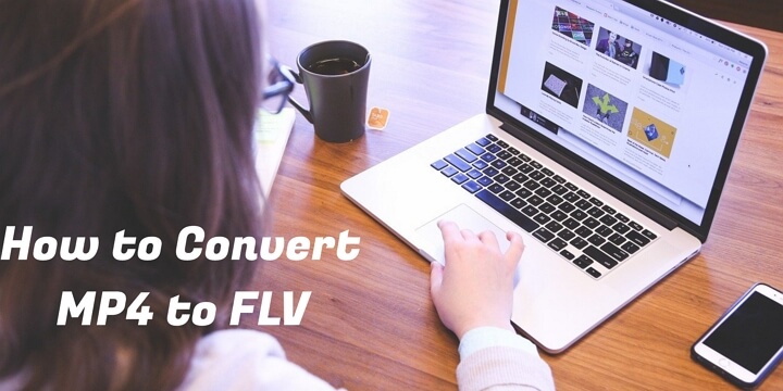 How to Convert MP4 to FLV