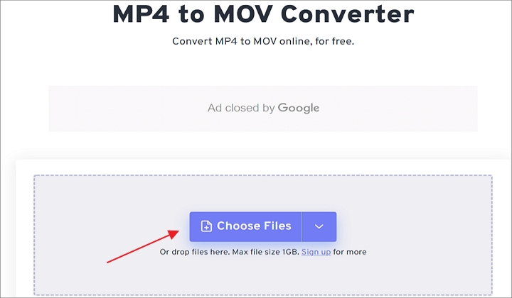  MP4 to MOV with FreeConvert
