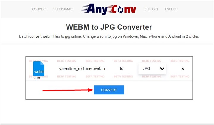 How to Convert WEBM to JPG with AnyConv