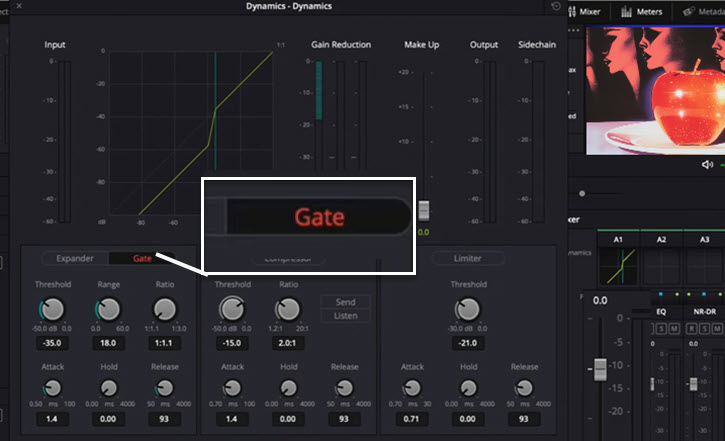 DaVinci Resolve Dynamics Gate