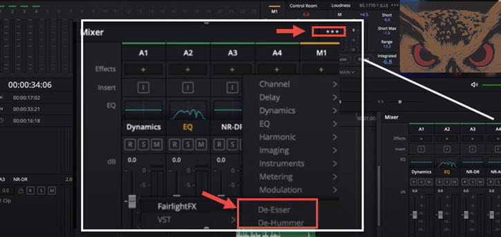 DaVinci Resolve Effects Deesser Dehummer