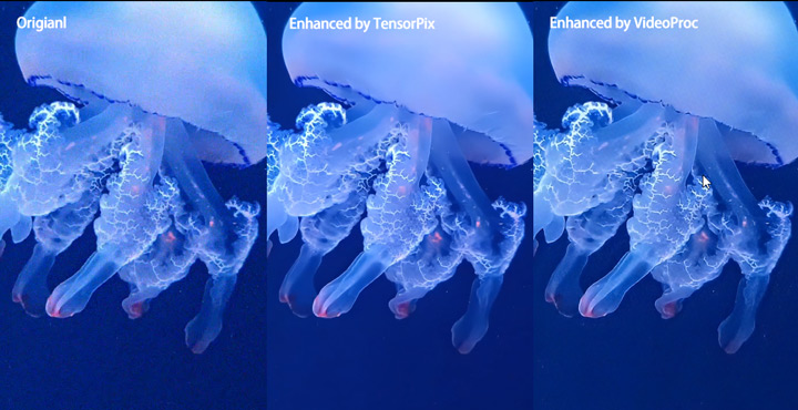 TensorPix vs VideoProc denoise video comparison