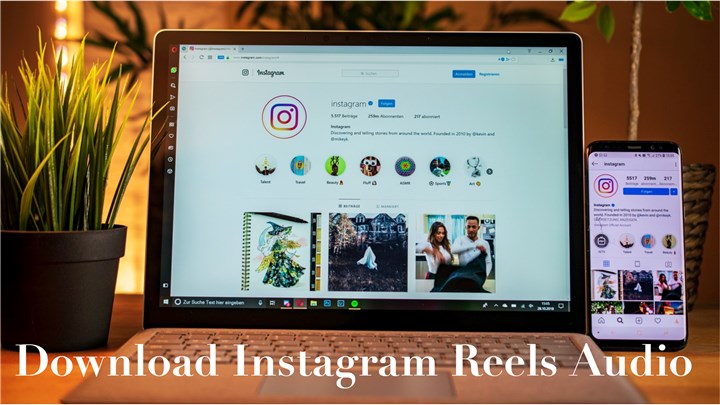 Download Instagram Reels Audio