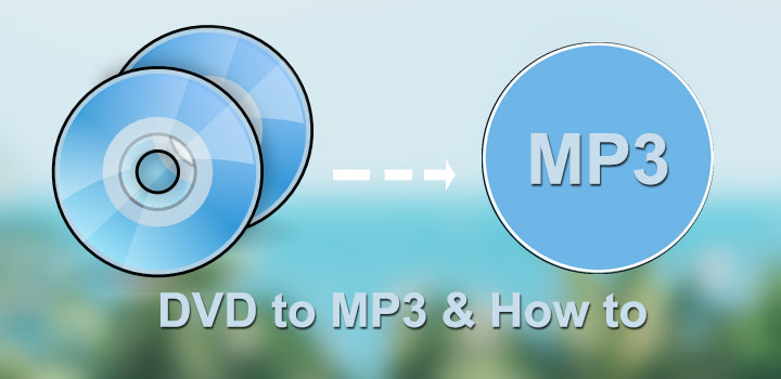 DVD to MP3 Converter