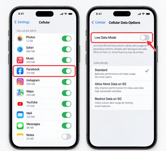 Facebook Low Data
