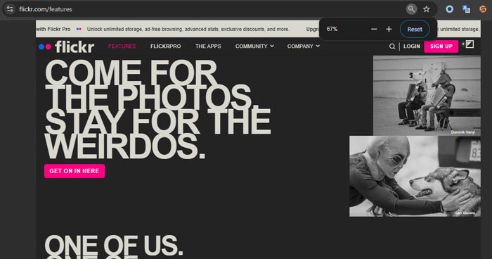 Flickr Imgur Alternative