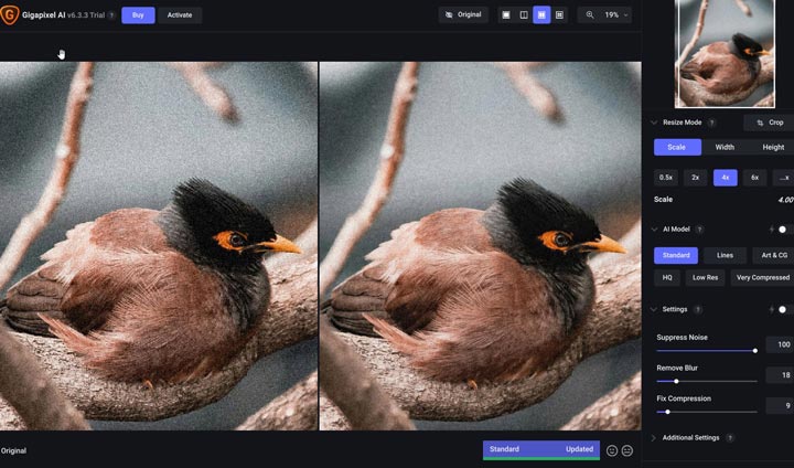 Topaz Gigapixel AI Review Test 4