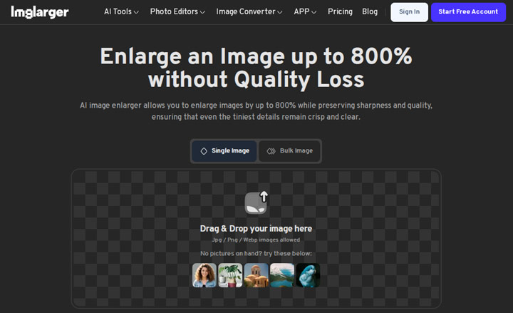 Photo Enlargement Software ImgLarger