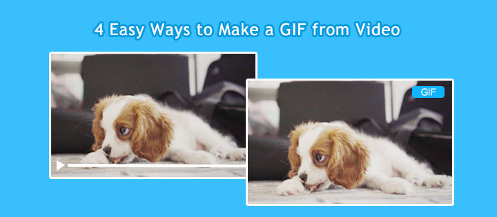 Make A GIF or Video Easily  Make a video, Gif, Video maker