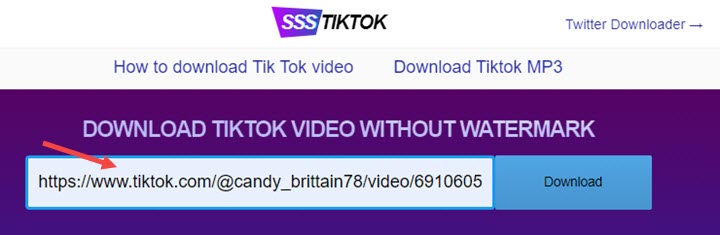 Поставете видео връзка към Tiktok към онлайн Tiktok Downlaoder