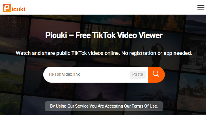 Picuki TikTok Viewer