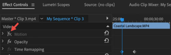Premiere Pro Effects Control Toggle