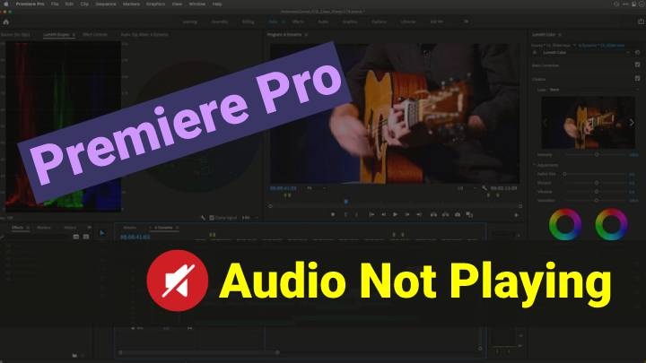 How to Fix Premiere Pro Audio Not Playing Quickly - VideoProc