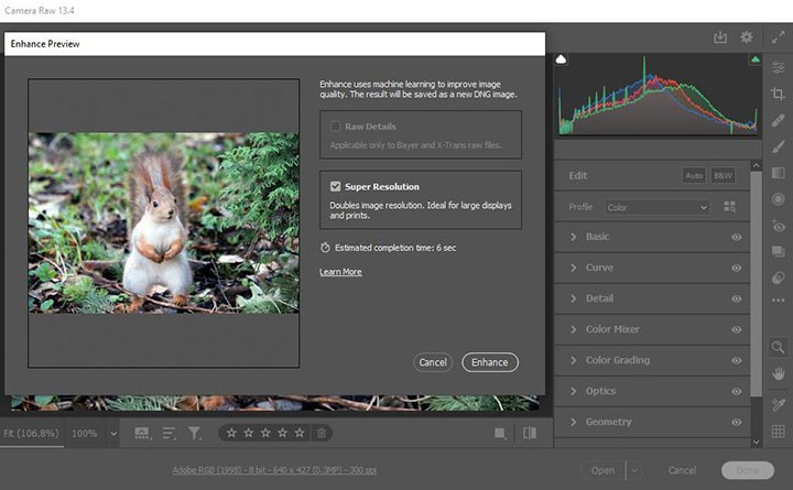 Upscale an image in Photoshop with Super Resolution in Camera Raw