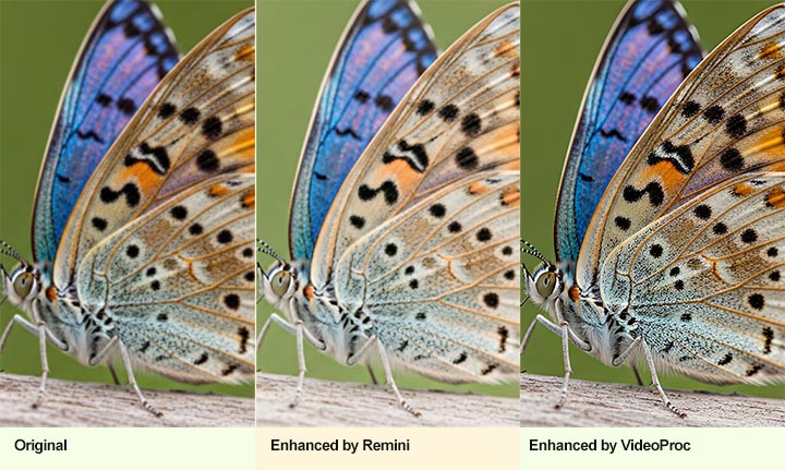 Remini Comparison
