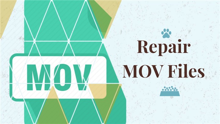  Repair MOV Files