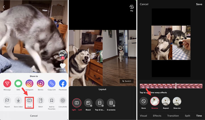 Reverse Someone Else's TikTok With Duet