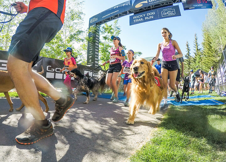 6 Best Sports Video Editors to Make Highlight Videos VideoProc