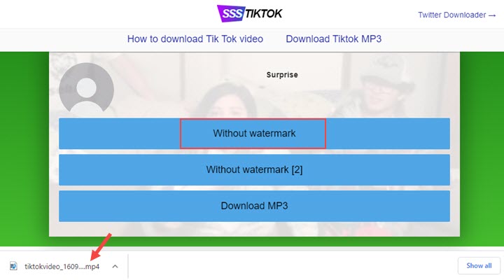 بارگیری ویدیوی Tiktok بدون علامت آنلاین