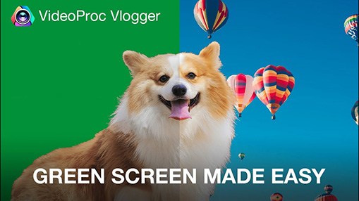 Best Green Screen Software