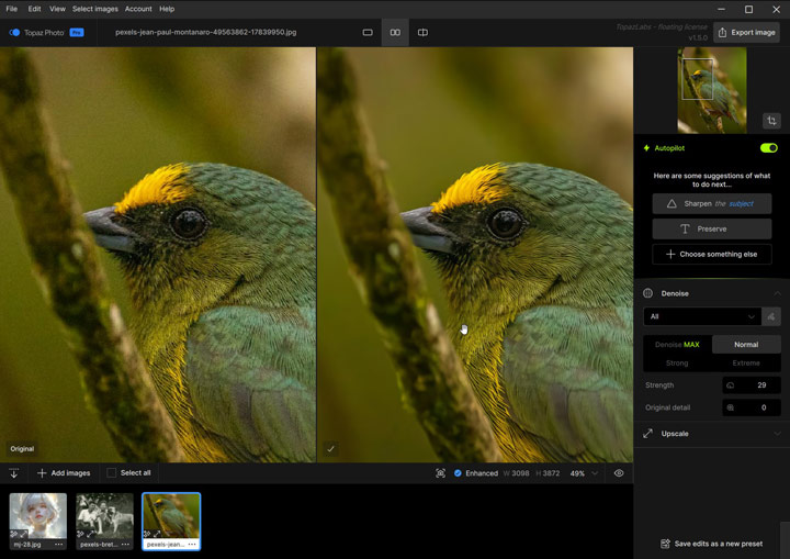 Topaz Photo Review Test 3