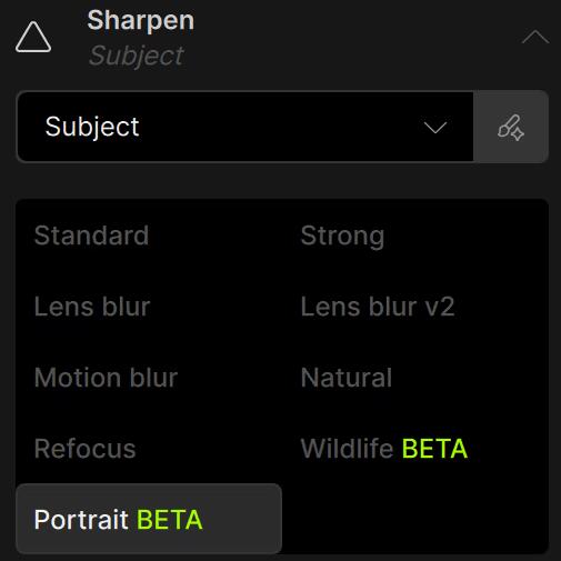 Topaz Photo Sharpen Models in UI