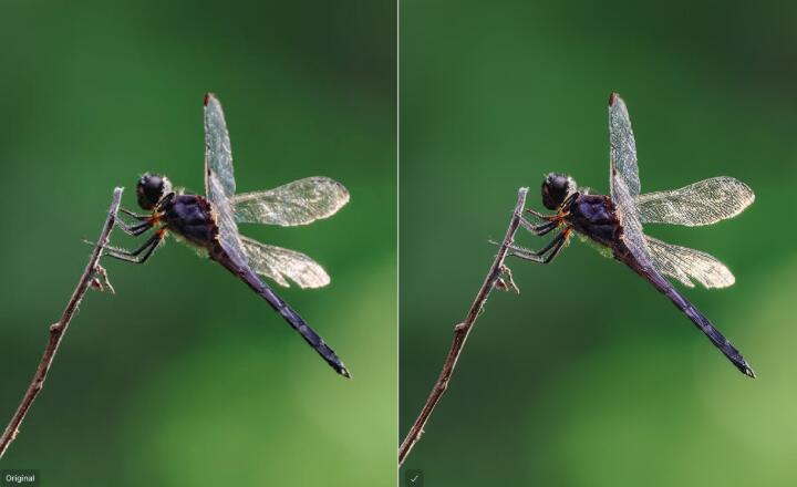 Topaz Sharpen AI Refocus Model