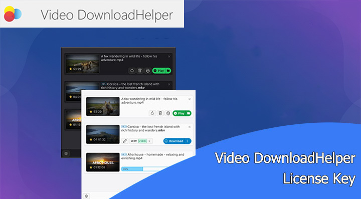 Video DownloadHelper License Key