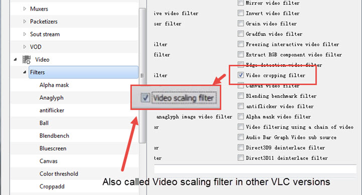 Enable Video Cropping Filter in Video Filters Settings